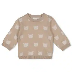 Sweater gebreid AO - The Knits