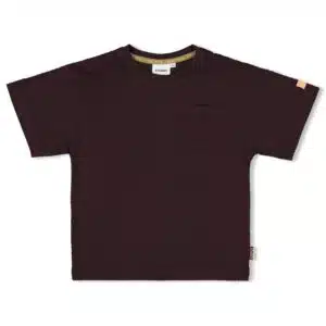T-shirt oversized - Desert Fiesta