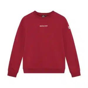 Sweater IB Chest and Backprint