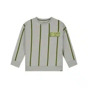 boys sweatshirt