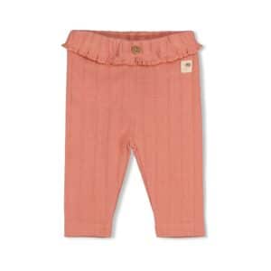 Legging pointelle rib - Forest Garden