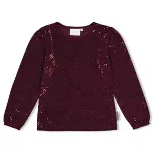 Longsleeve pailetten - Daily Princess