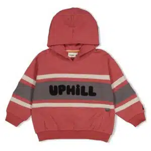 Hoody oversized - Mountain top